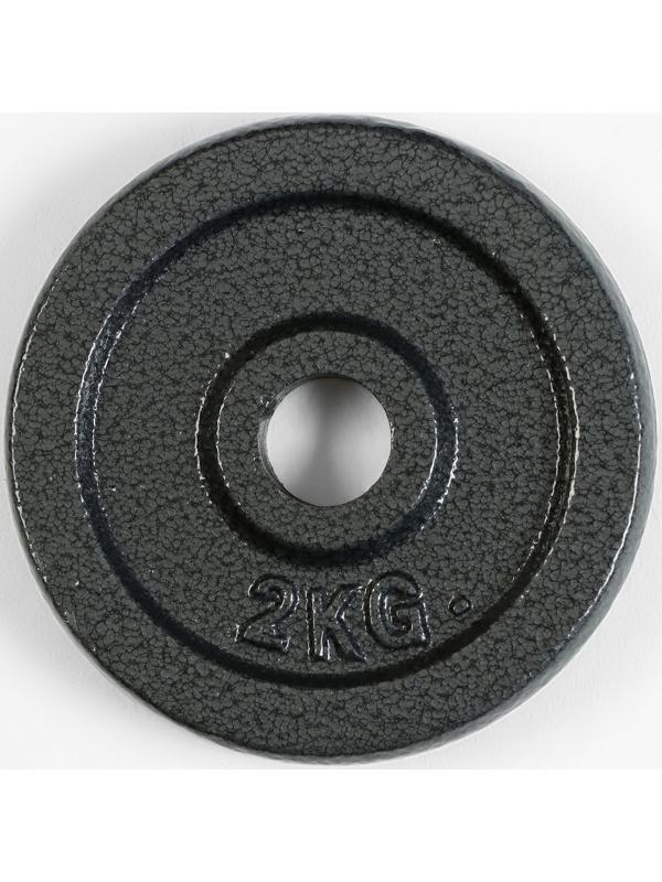 Диск  2 кг, d=29 мм