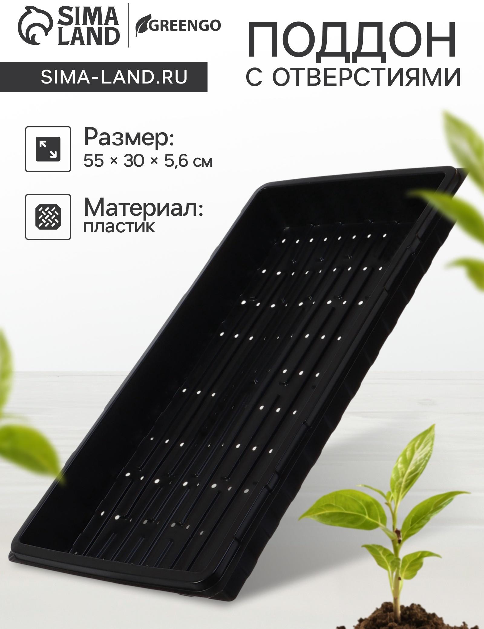 Поддон для гидропоники, с отверстиями, 55×30×5.6 см, пластик, Greengo