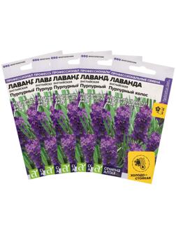 Семена цветов Лаванда 
