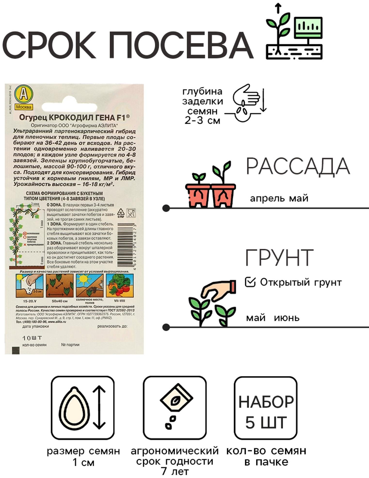 Семена Огурец 