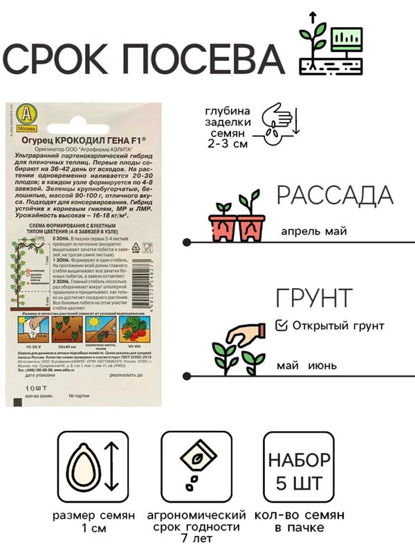 Семена Огурец 