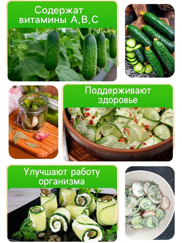 Семена Огурец 