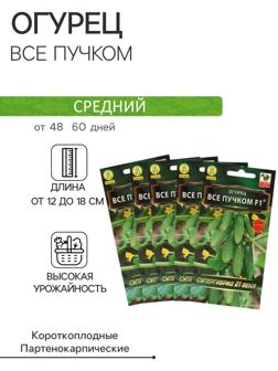 Семена огурца 