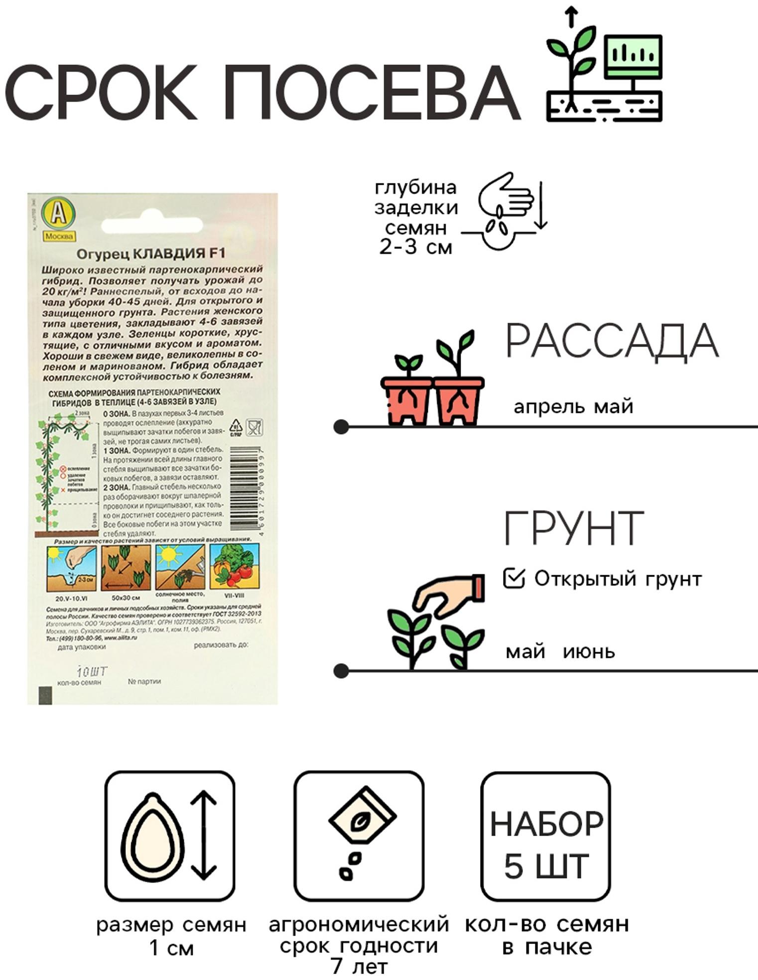 Семена Огурец 