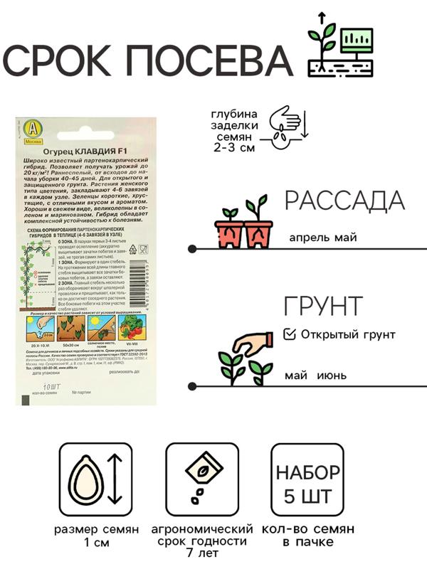 Семена Огурец 