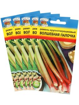 Семена Ревень крупночерешковый 