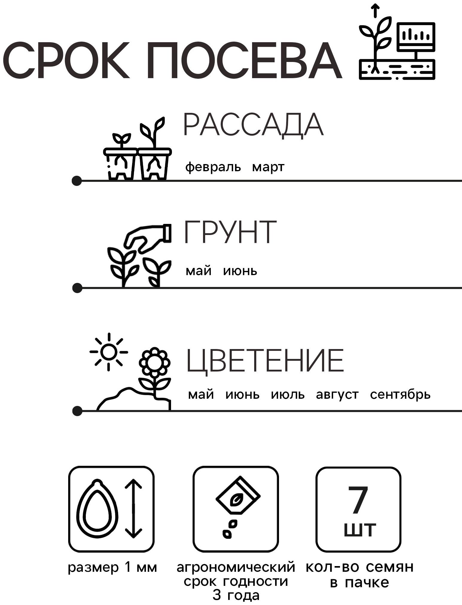 Семена  Петуния 