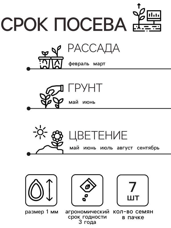 Семена  Петуния 