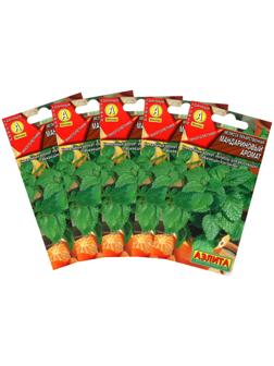 Семена Мелисса 