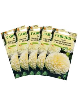 Семена цветов Бархатцы прямые (Тагетес) 