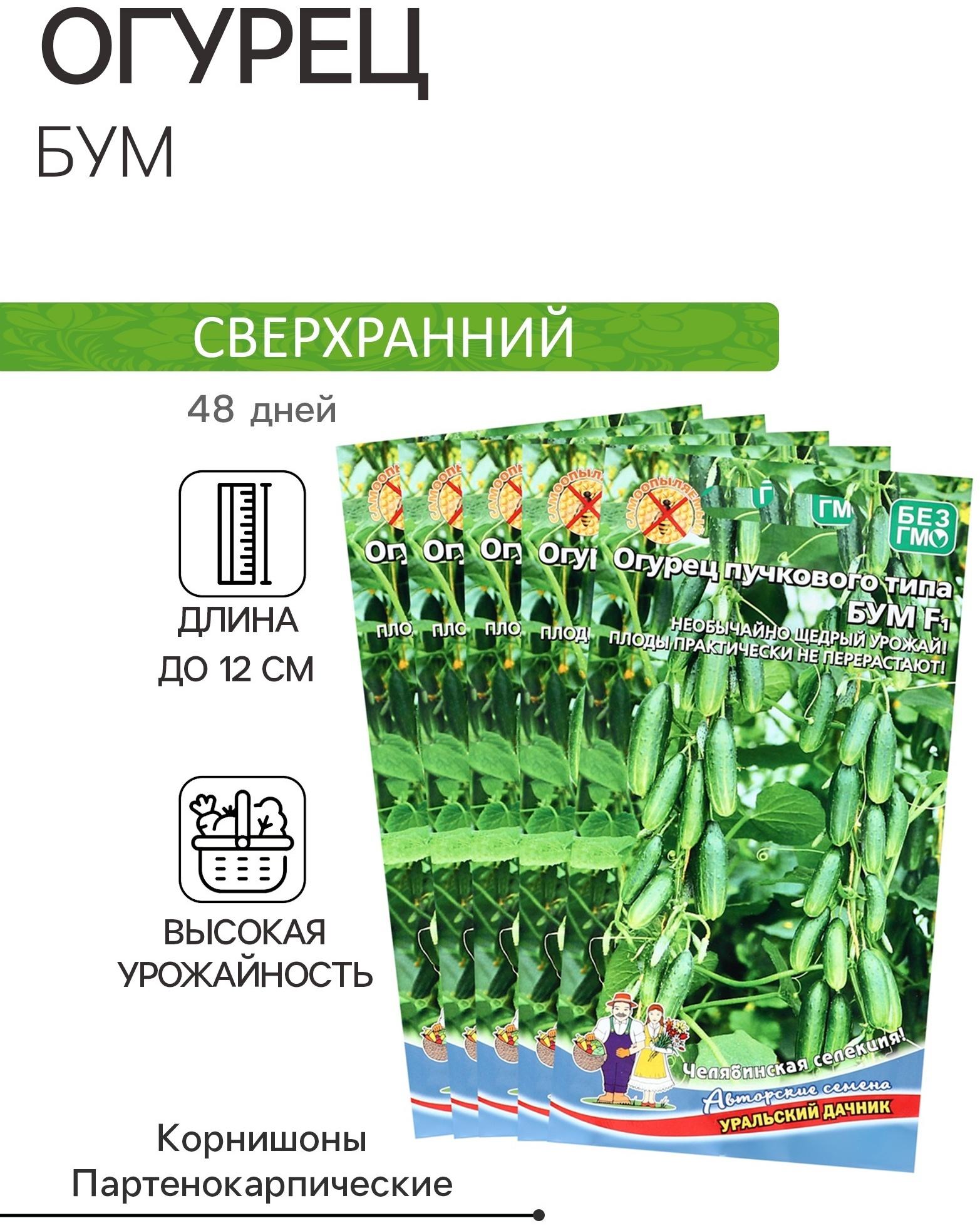 Семена огурца 