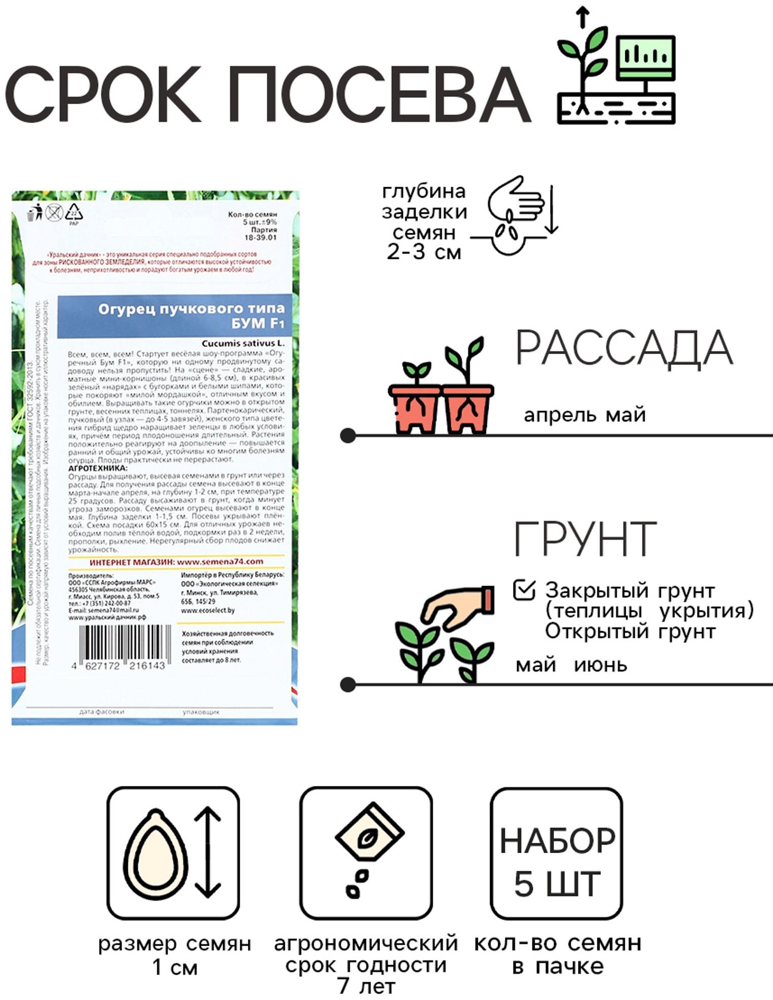 Семена огурца 