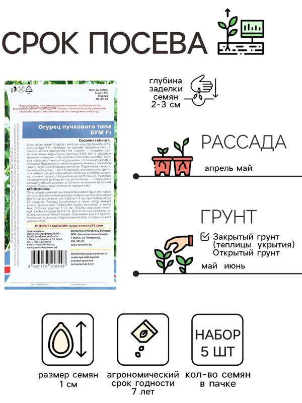 Семена огурца 