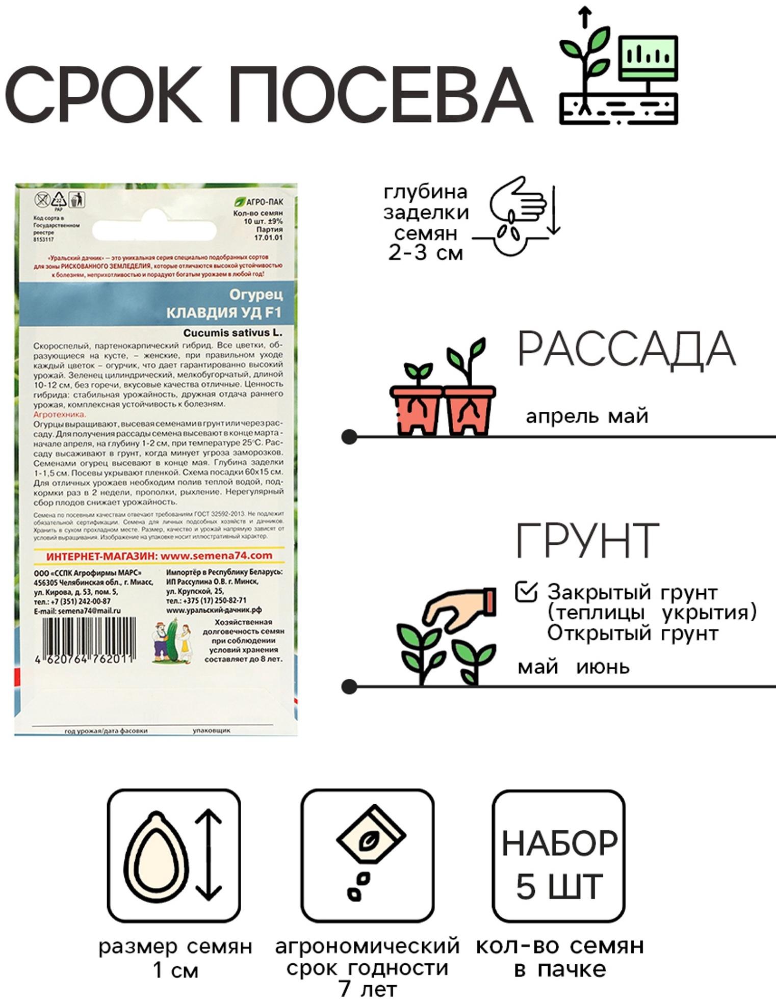 Семена Огурец 