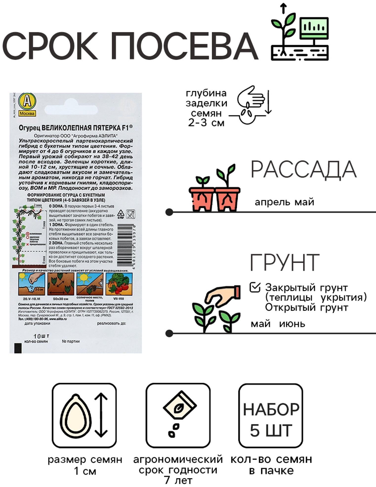 Семена огурца 