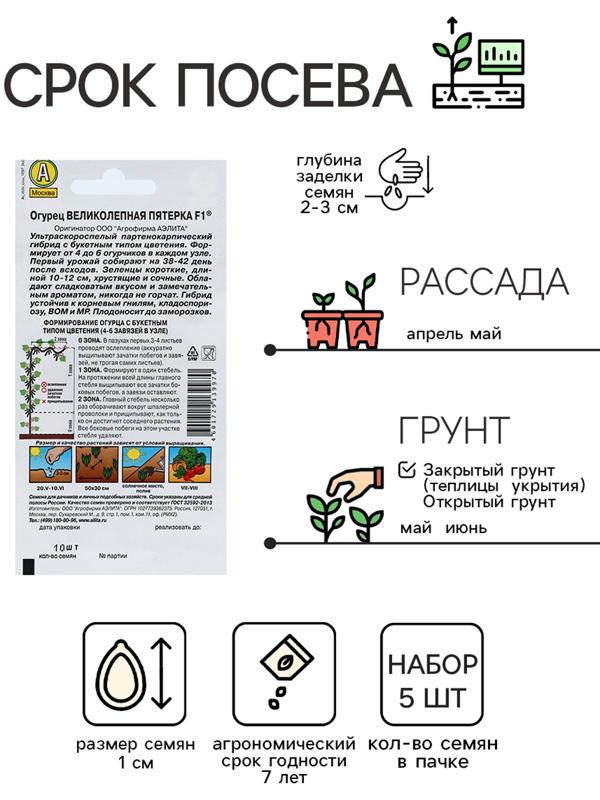 Семена огурца 