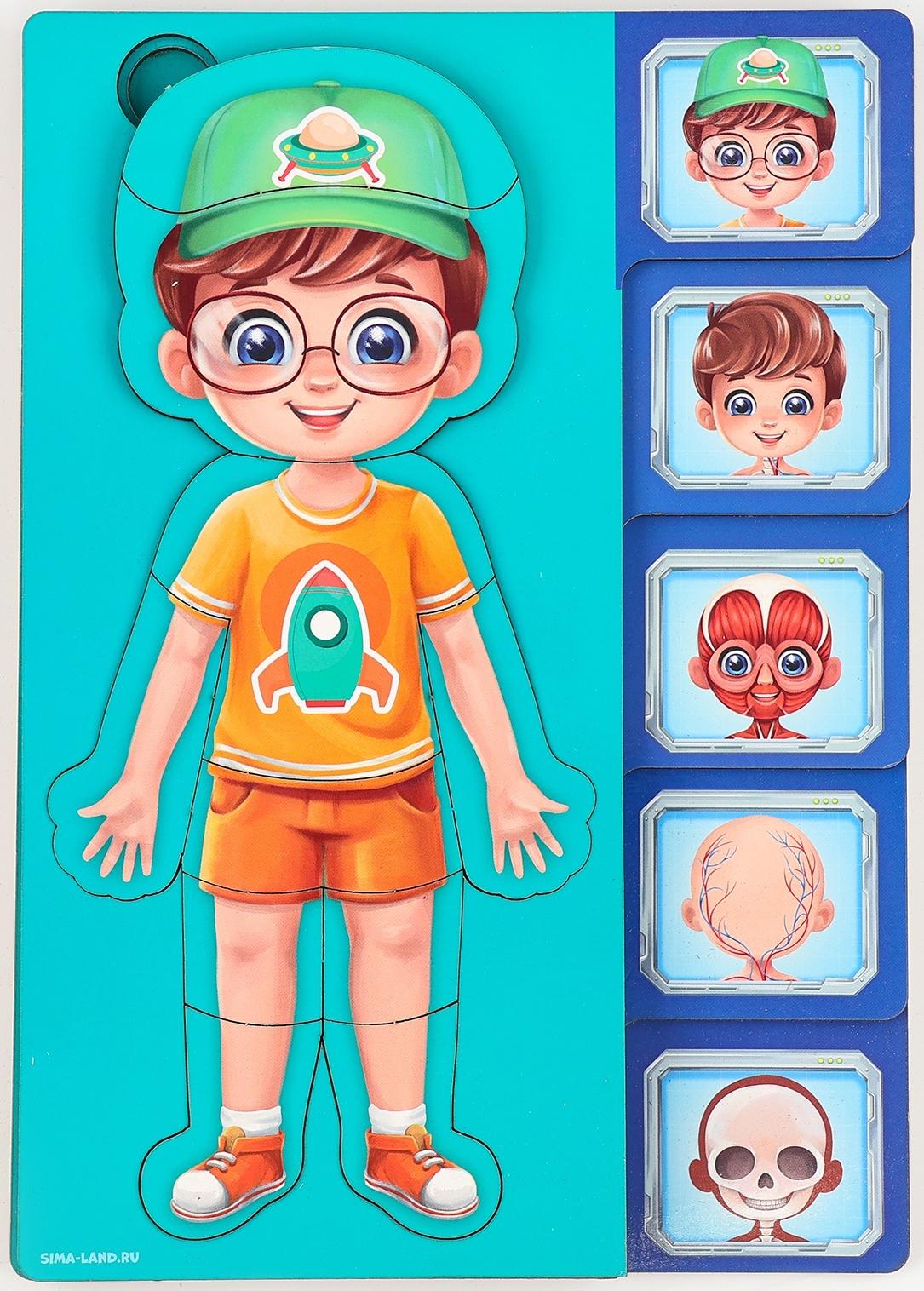 Обучающий набор «Тело человека», рамка-вкладка и книга с наклейками