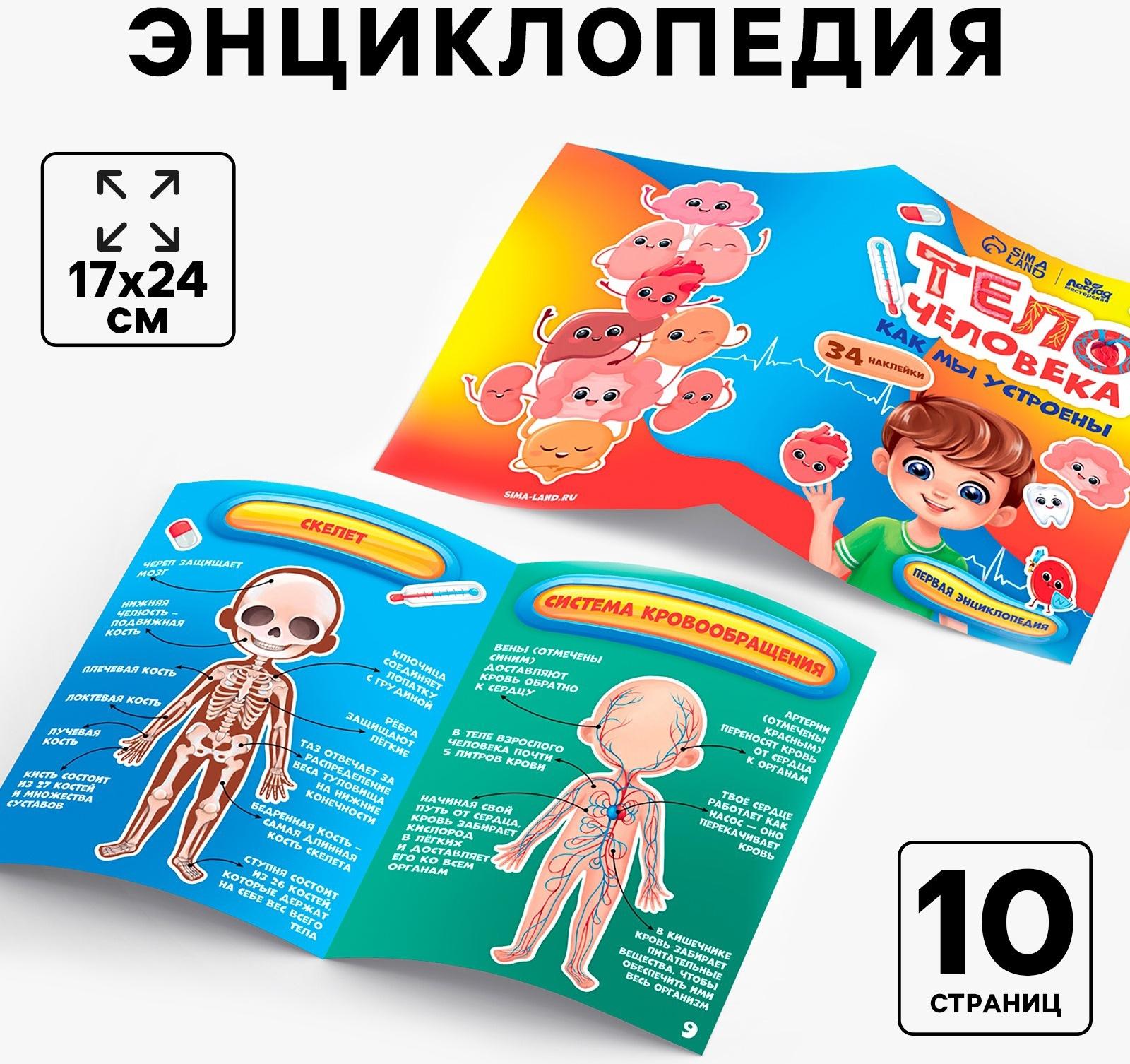 Обучающий набор «Тело человека», рамка-вкладка и книга с наклейками