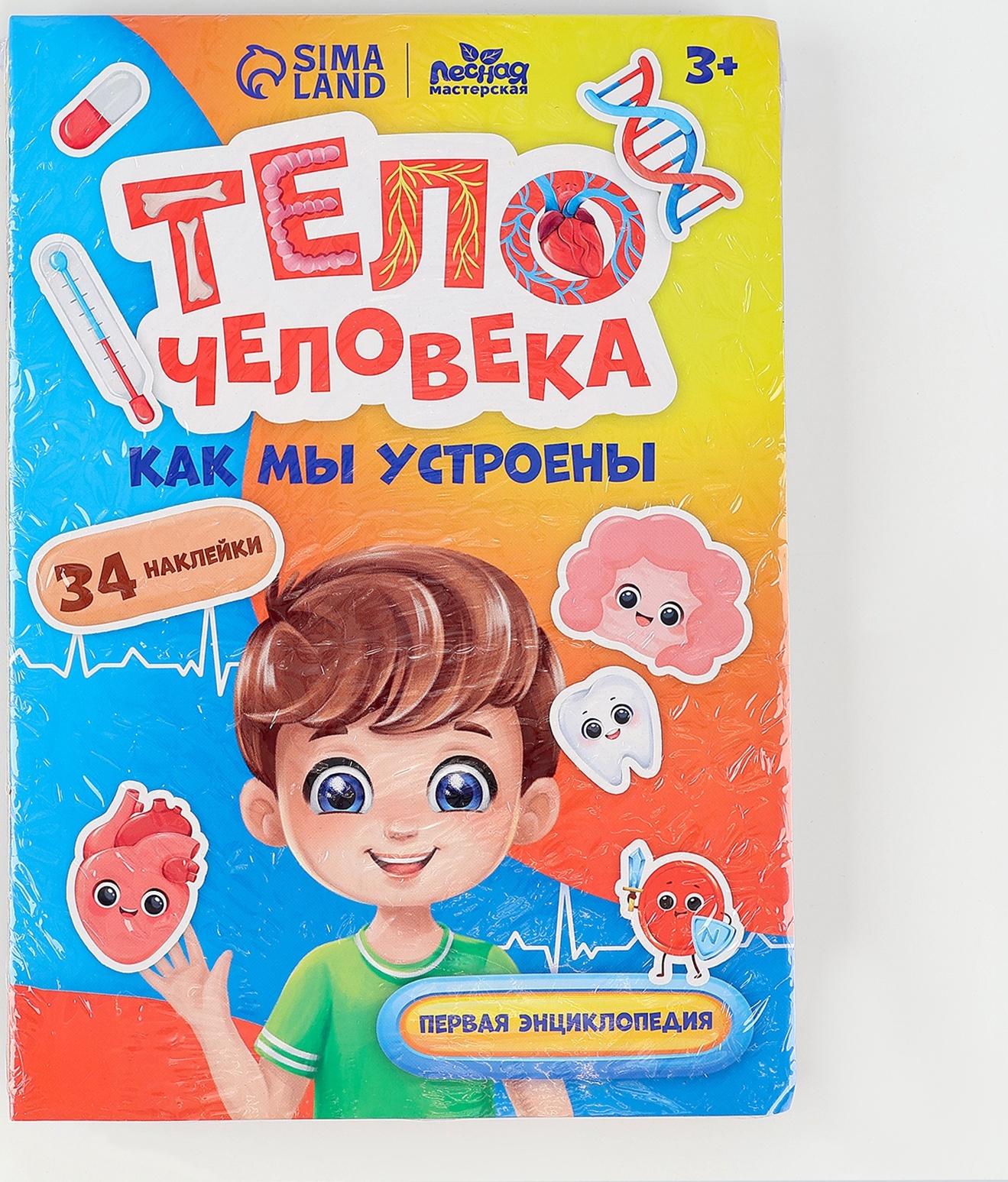 Обучающий набор «Тело человека», рамка-вкладка и книга с наклейками