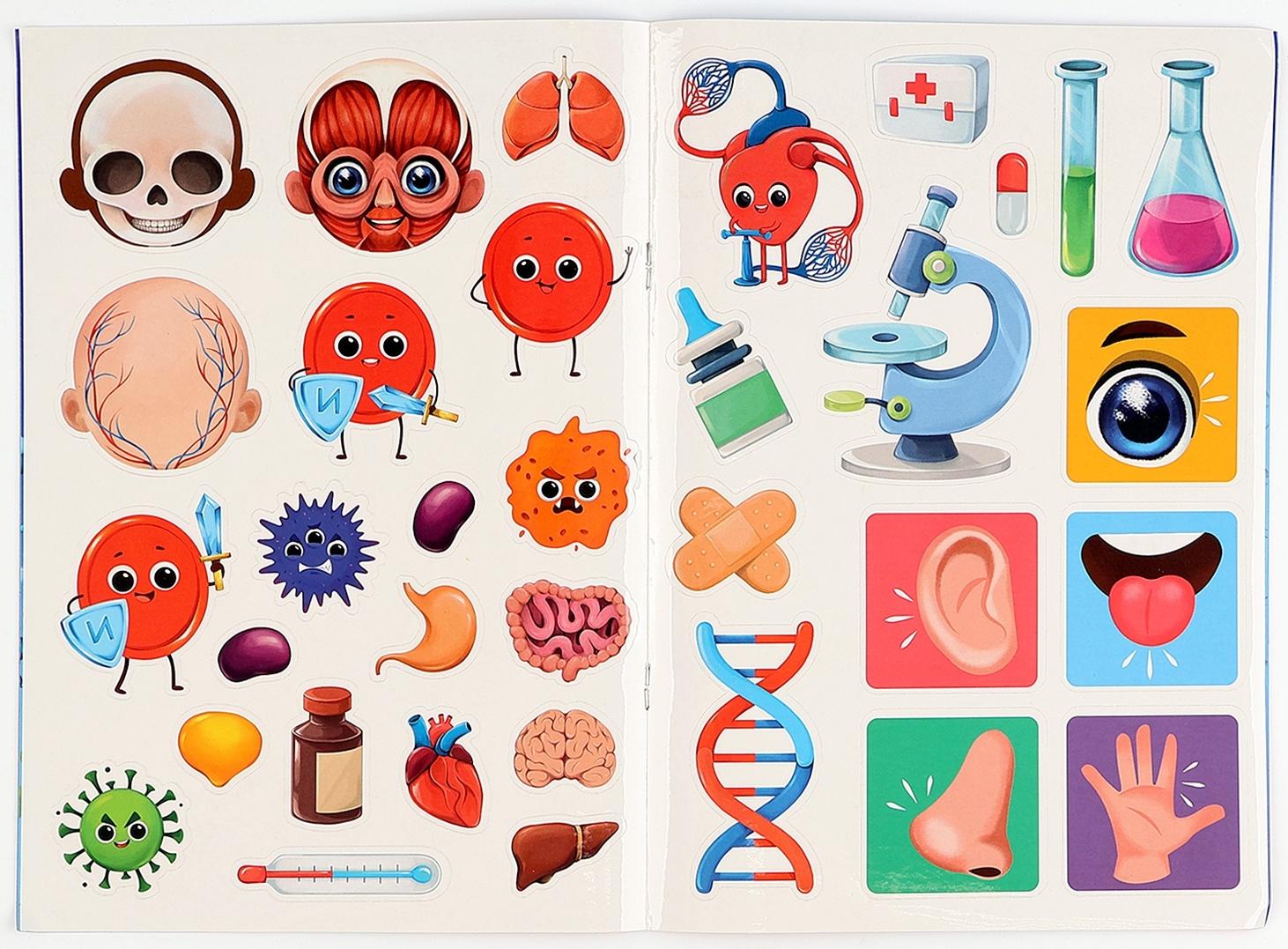 Обучающий набор «Тело человека», рамка-вкладка и книга с наклейками