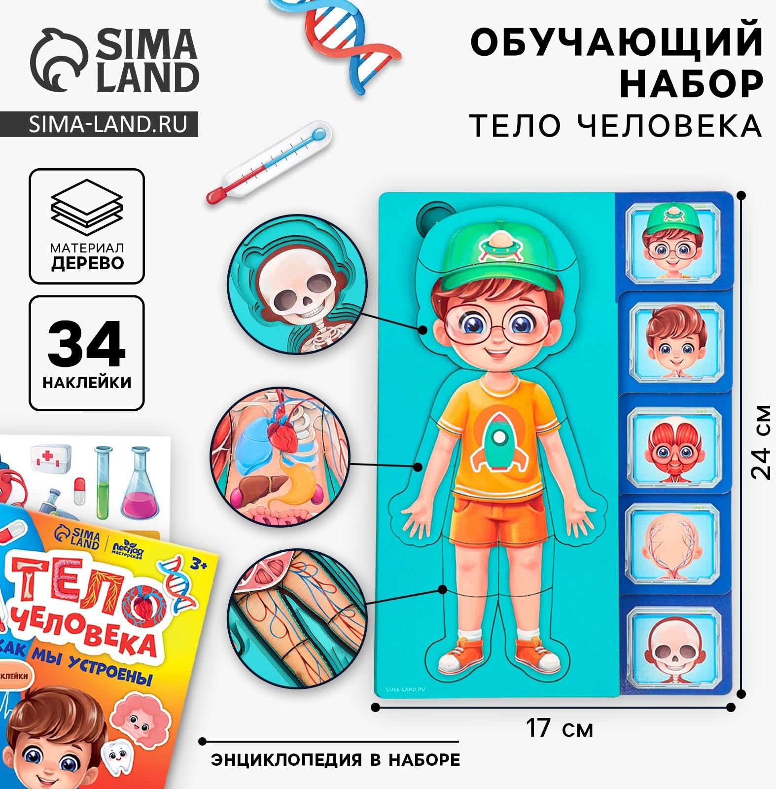 Обучающий набор «Тело человека», рамка-вкладка и книга с наклейками