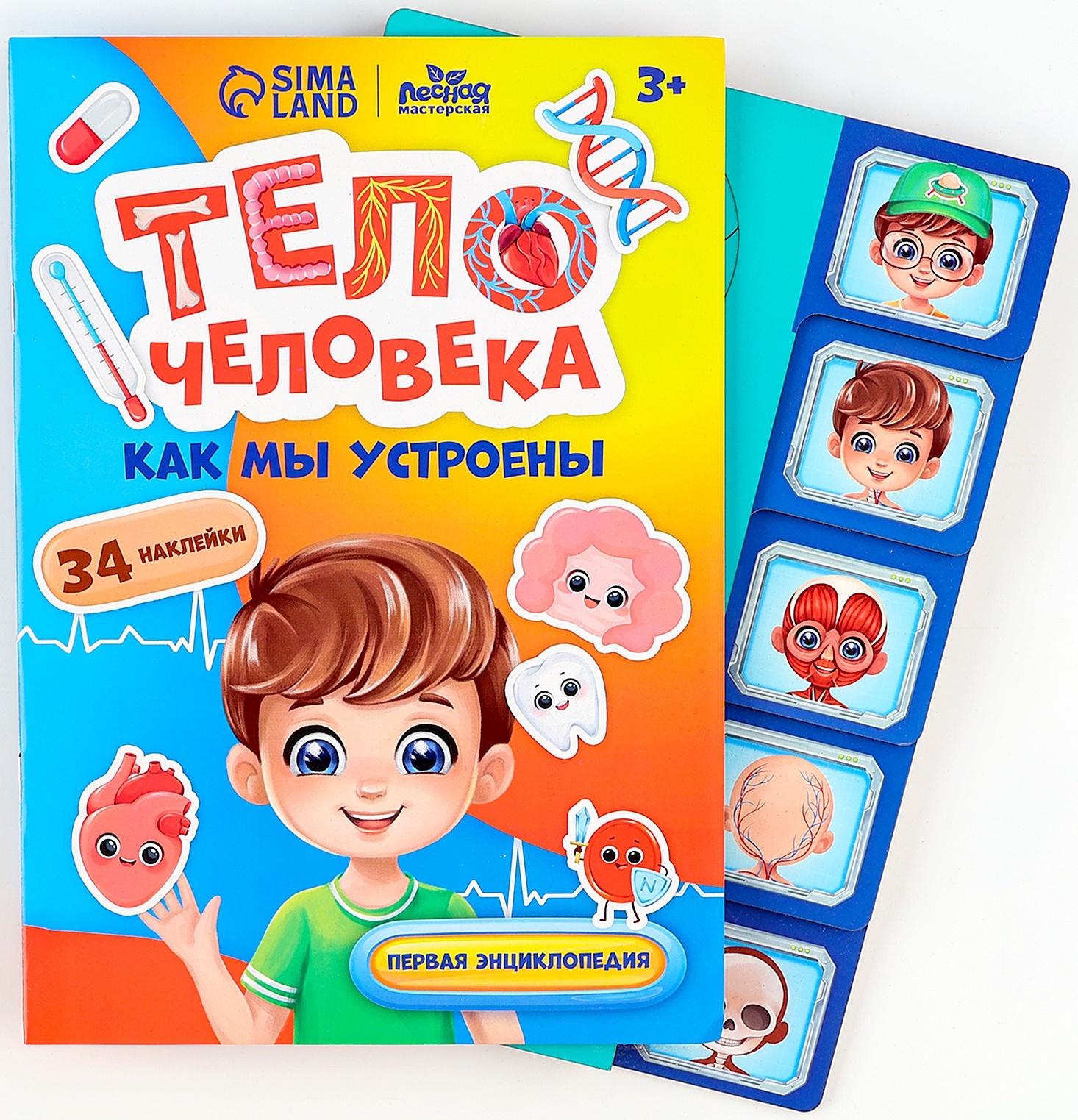 Обучающий набор «Тело человека», рамка-вкладка и книга с наклейками