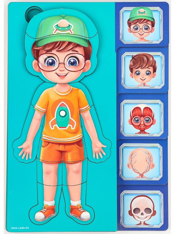 Обучающий набор «Тело человека», рамка-вкладка и книга с наклейками