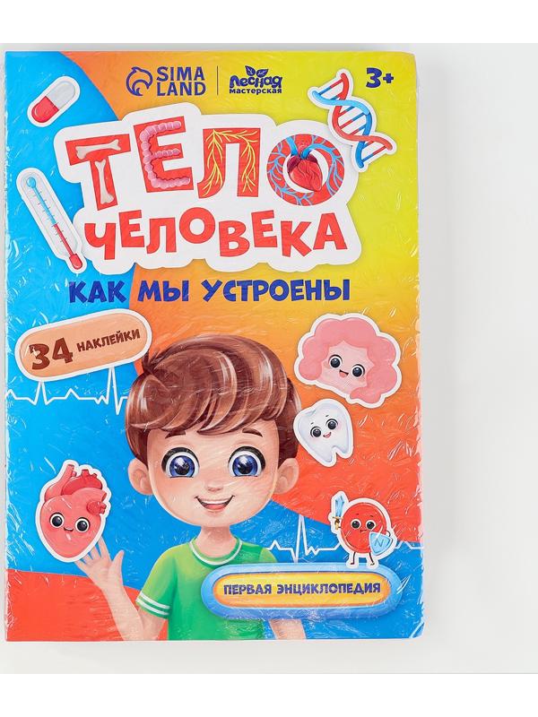 Обучающий набор «Тело человека», рамка-вкладка и книга с наклейками