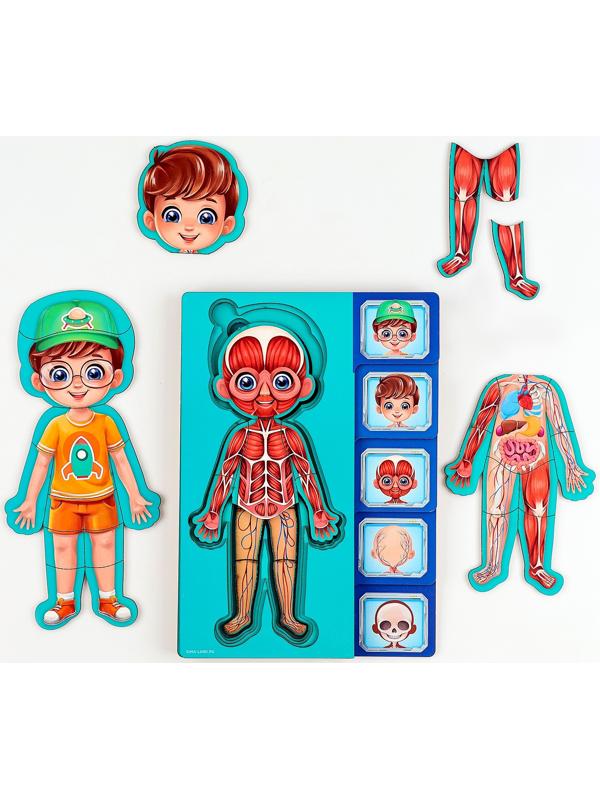 Обучающий набор «Тело человека», рамка-вкладка и книга с наклейками