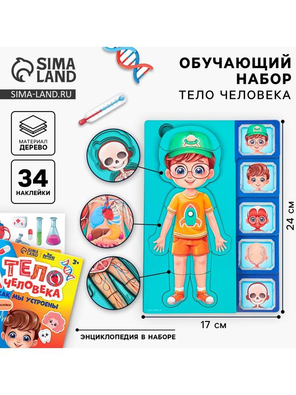 Обучающий набор «Тело человека», рамка-вкладка и книга с наклейками