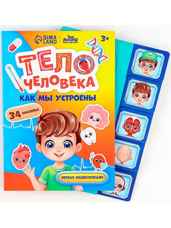 Обучающий набор «Тело человека», рамка-вкладка и книга с наклейками