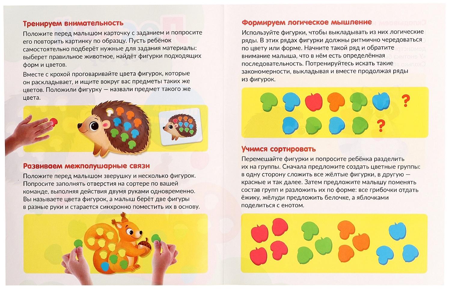 Развивающий набор «Лесной сортер», 3+