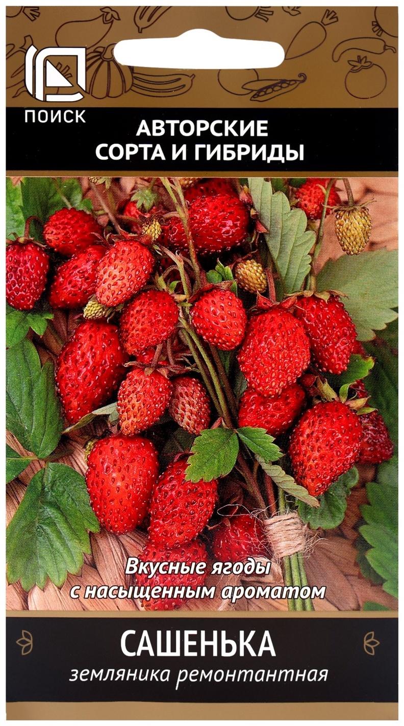 Семена Земляника ремонтантная Сашенька, 100шт