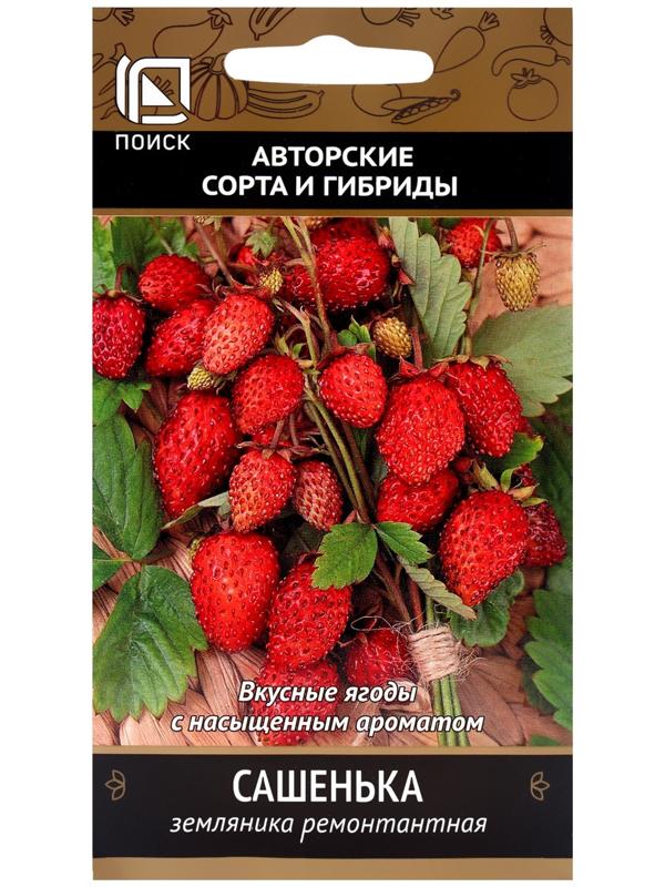 Семена Земляника ремонтантная Сашенька, 100шт