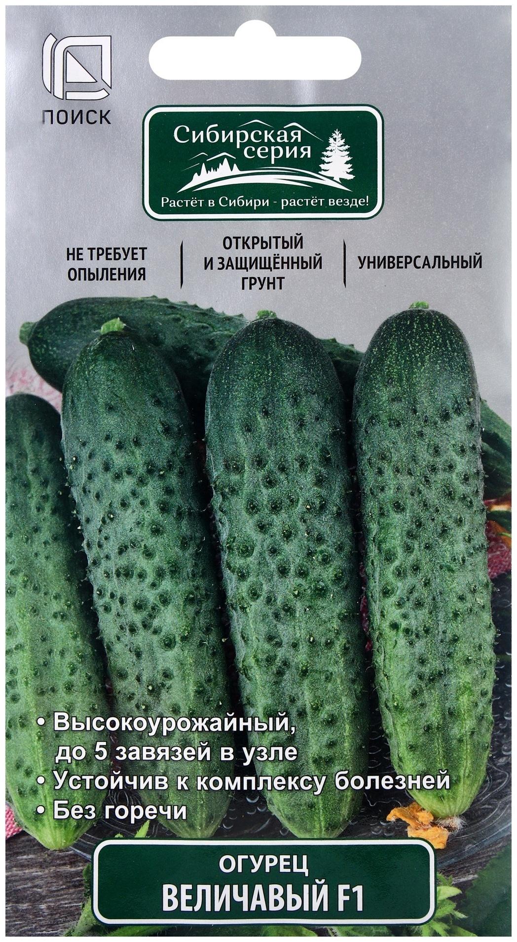 Семена Огурец Величавый, F1, 12шт