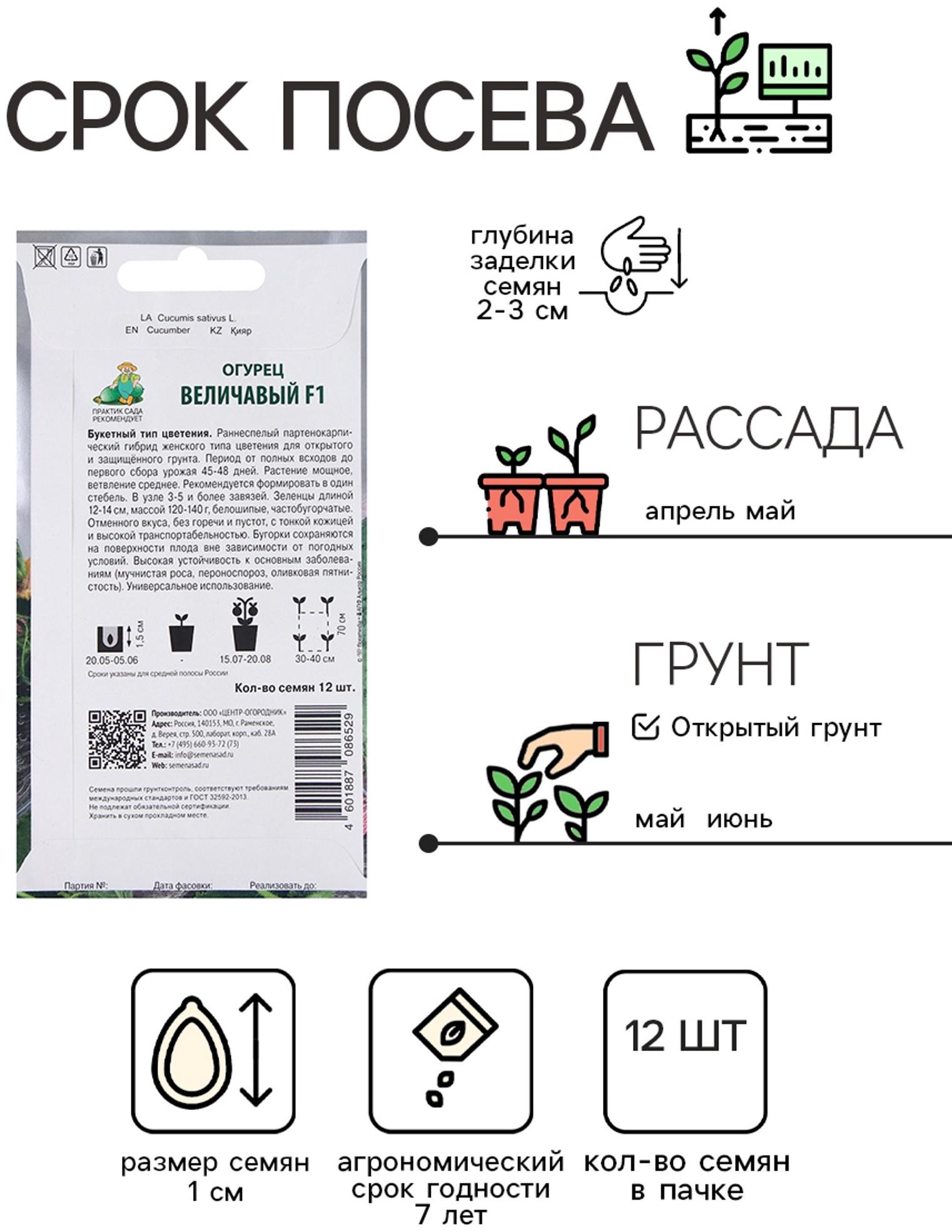 Семена Огурец Величавый, F1, 12шт