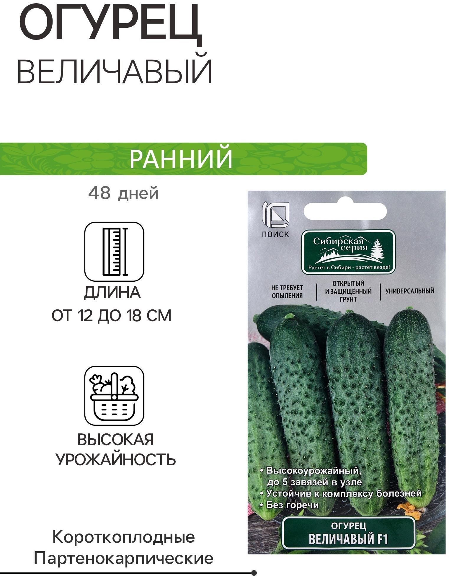 Семена Огурец Величавый, F1, 12шт