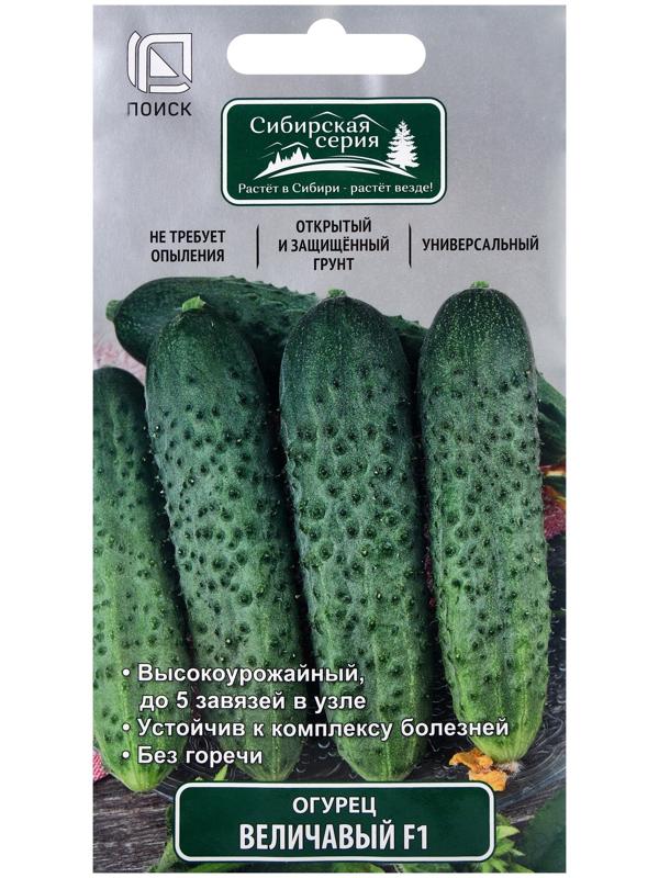 Семена Огурец Величавый, F1, 12шт