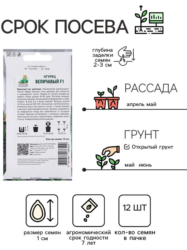 Семена Огурец Величавый, F1, 12шт