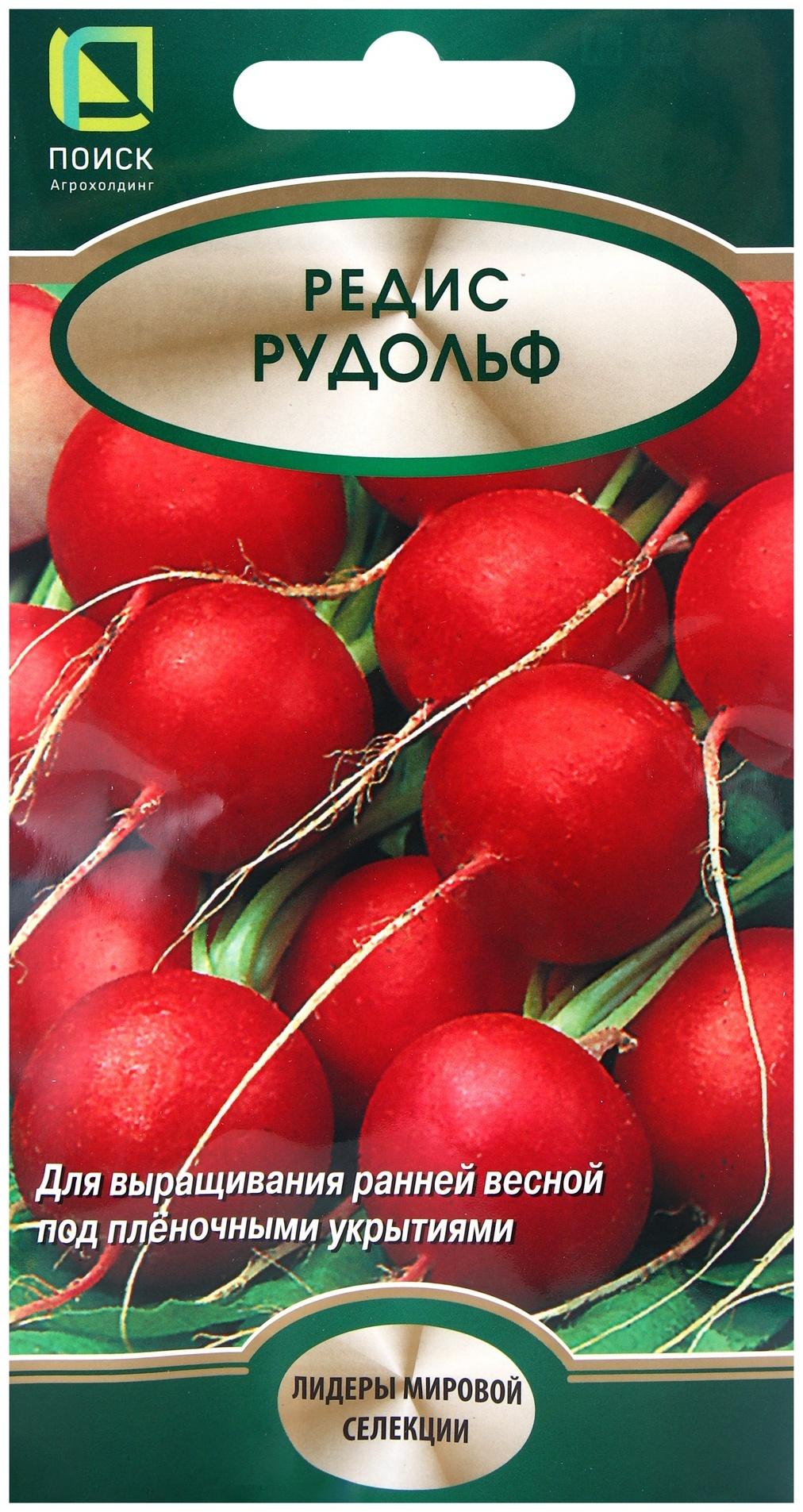 Семена Редис Рудольф, 2гр