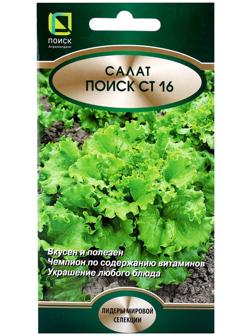 Семена Салат Поиск СТ16, 1гр