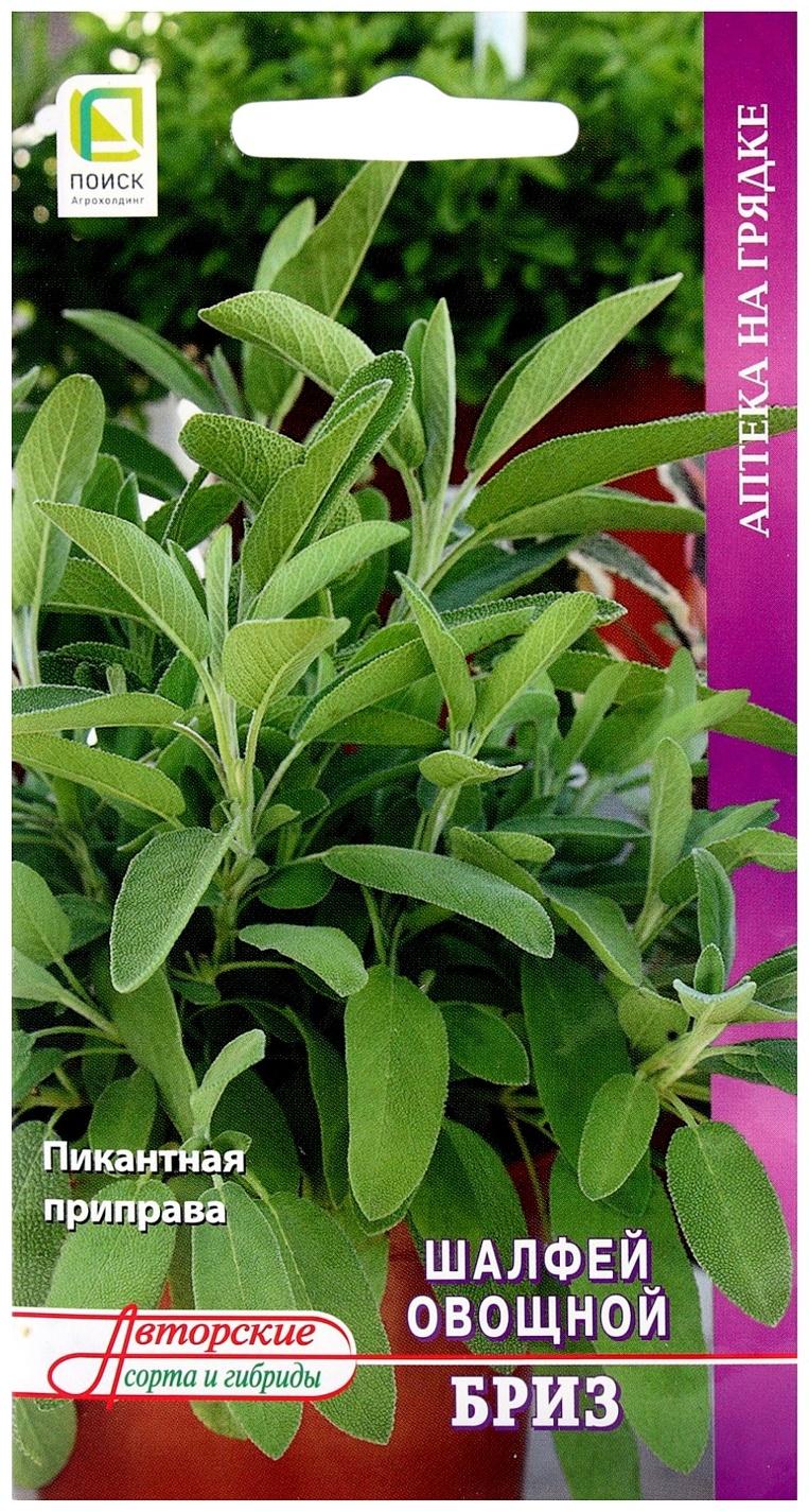 Семена Шалфей овощной Бриз, 0,5гр
