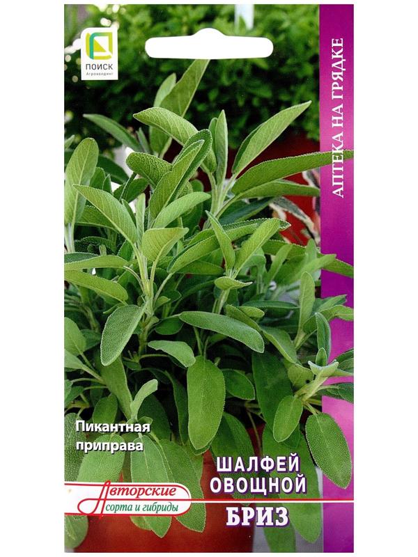 Семена Шалфей овощной Бриз, 0,5гр