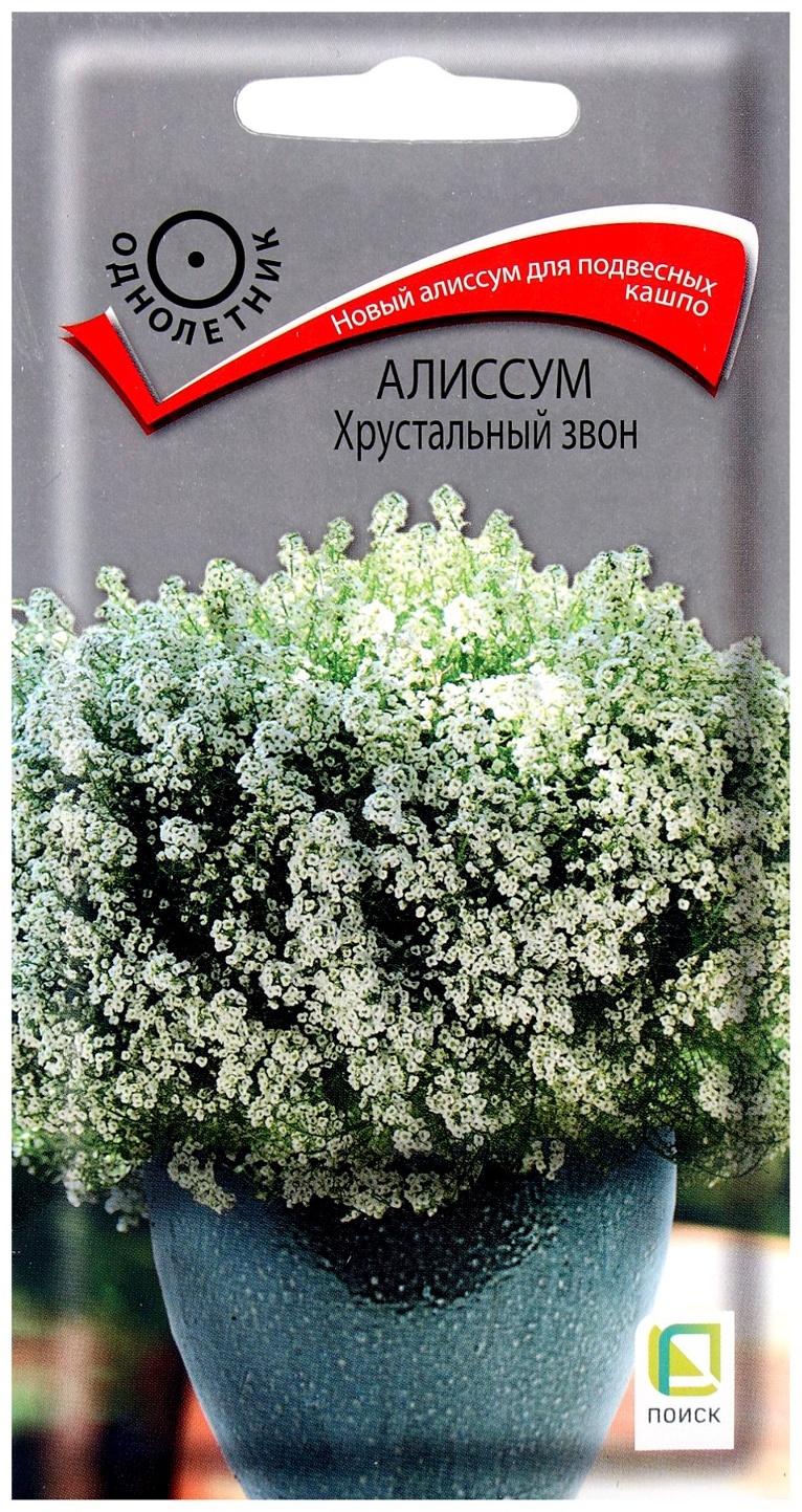 Семена цветов Алиссум Хрустальный звон, 20шт