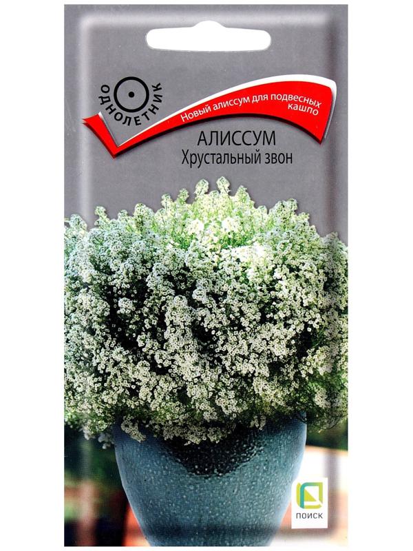 Семена цветов Алиссум Хрустальный звон, 20шт