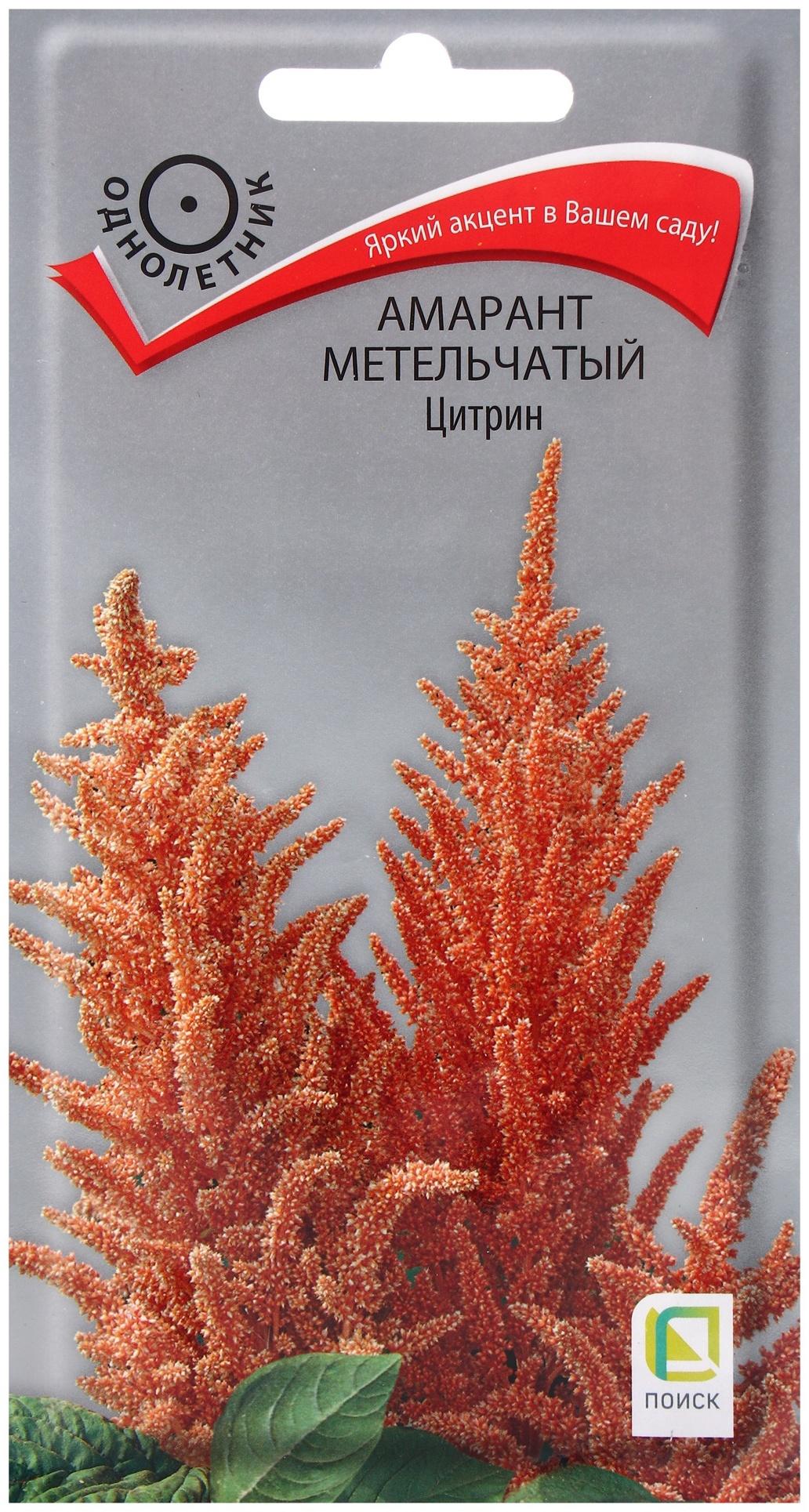 Семена цветов Амарант метельчатый Цитрин, 0,05гр