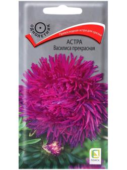 Семена цветов Астра Василиса прекрасная, 0,3гр