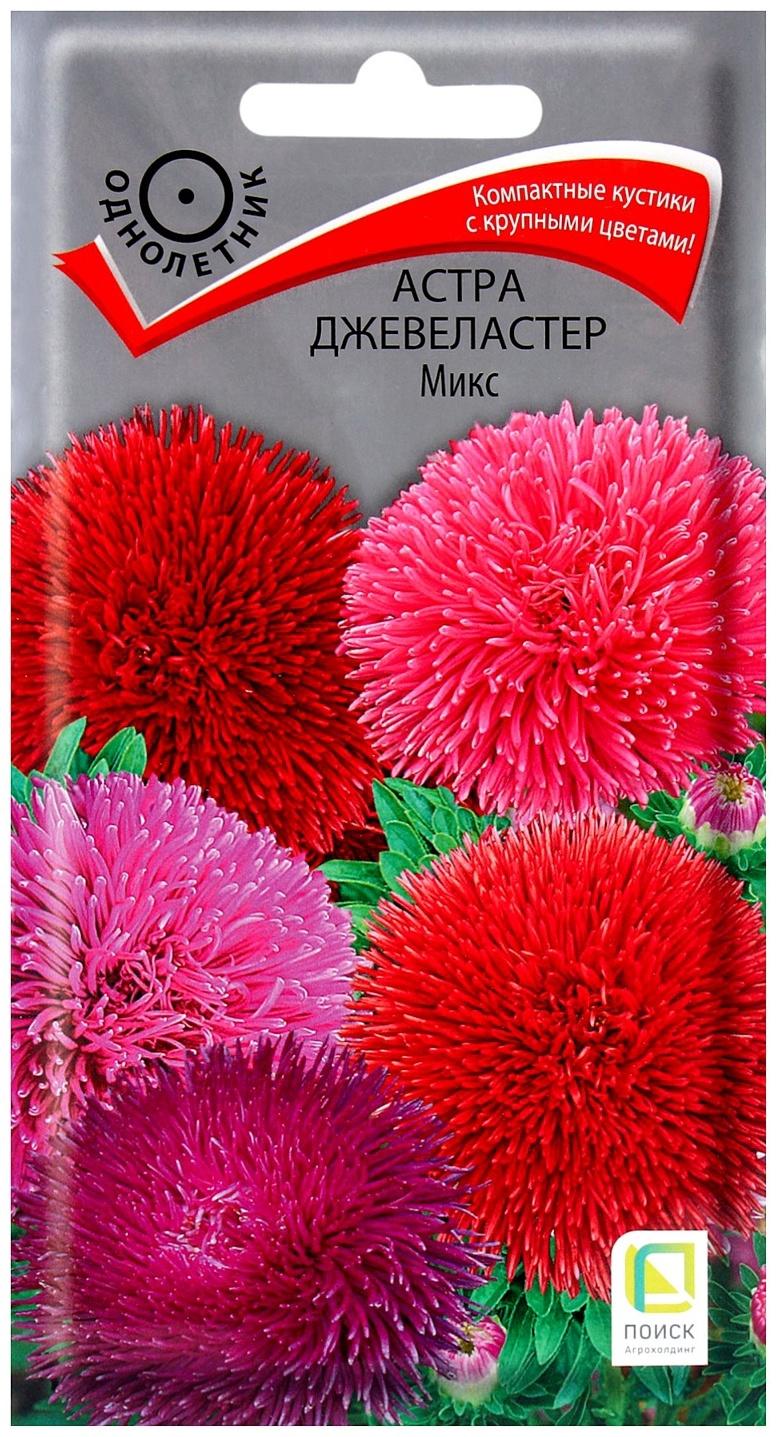 Семена цветов Астра Джевеластер Микс, 0,3гр