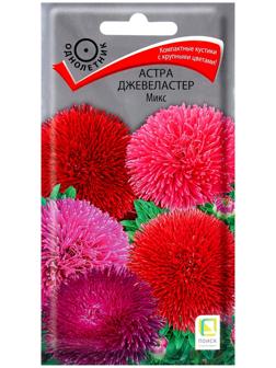 Семена цветов Астра Джевеластер Микс, 0,3гр