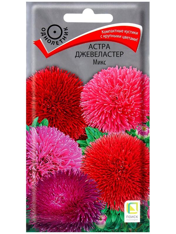 Семена цветов Астра Джевеластер Микс, 0,3гр